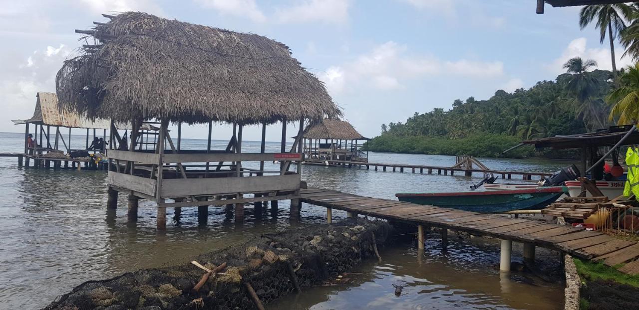Rainforest Lodge Del Rio Portobelo Ngoại thất bức ảnh