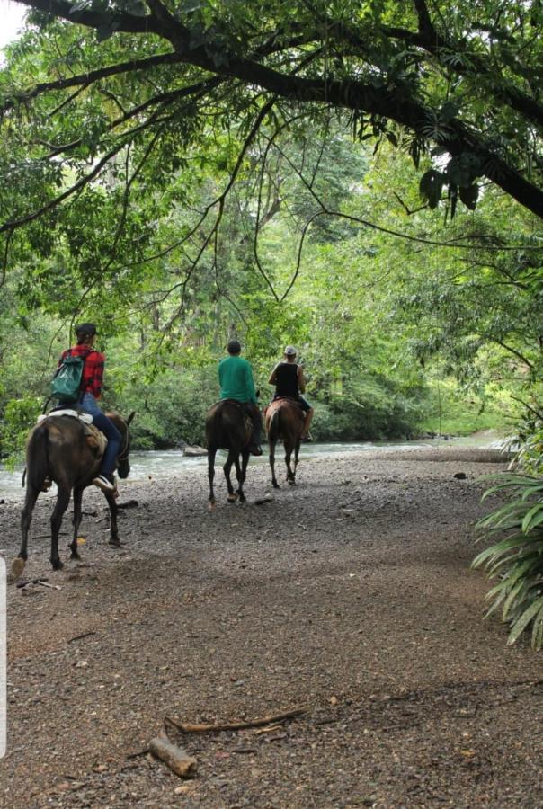 Rainforest Lodge Del Rio Portobelo Ngoại thất bức ảnh