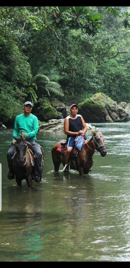 Rainforest Lodge Del Rio Portobelo Ngoại thất bức ảnh