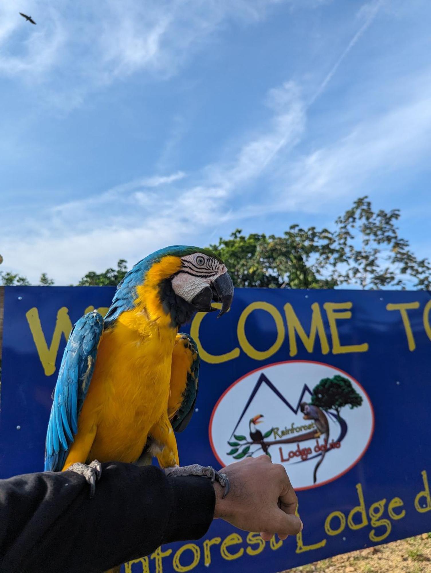Rainforest Lodge Del Rio Portobelo Ngoại thất bức ảnh