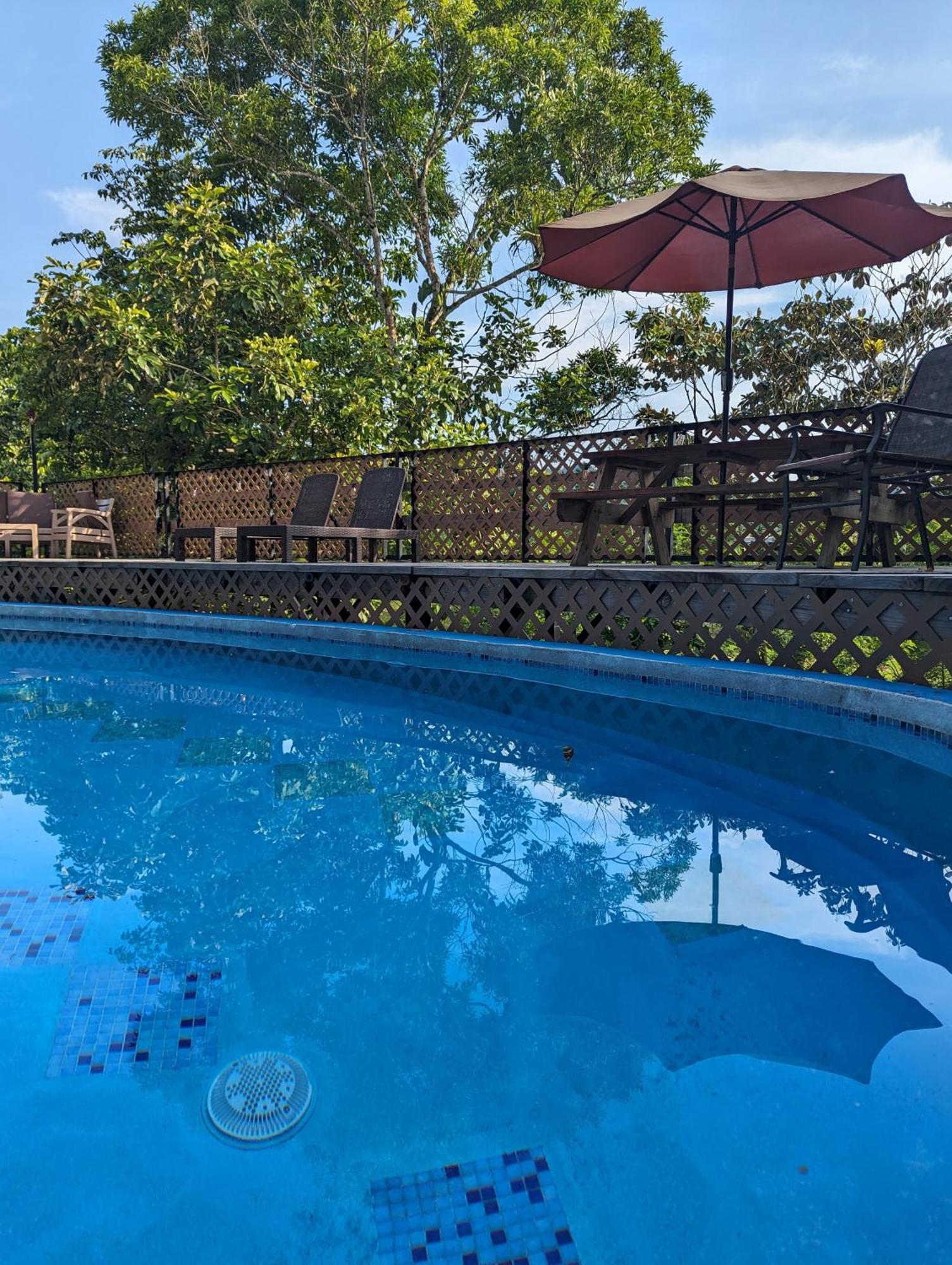 Rainforest Lodge Del Rio Portobelo Ngoại thất bức ảnh